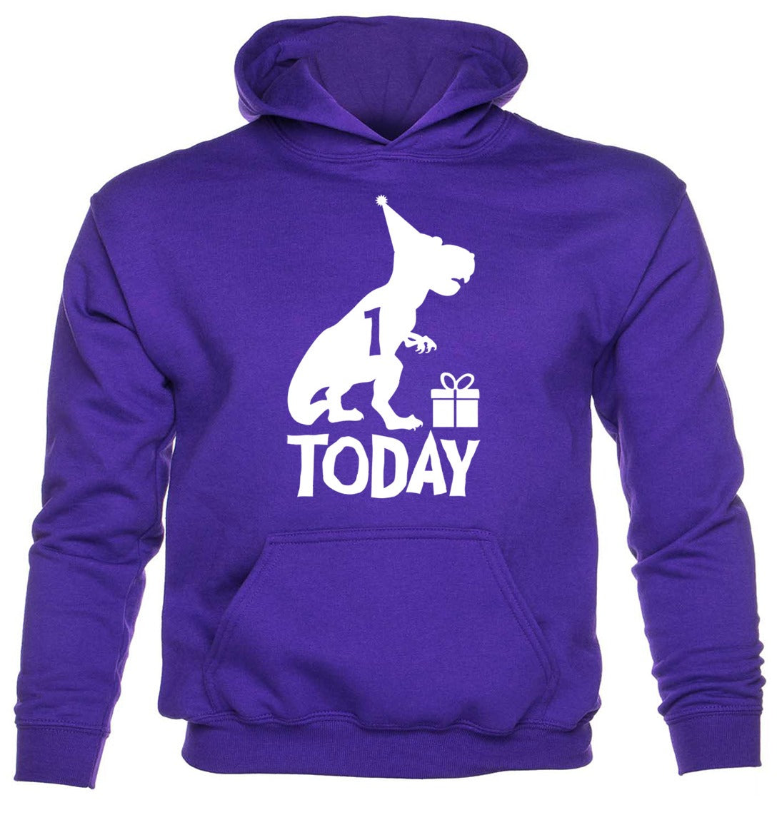 Dinosaur Happy Birthday 1 Today T-Rex Birthday Age 1 Kids Hoodie