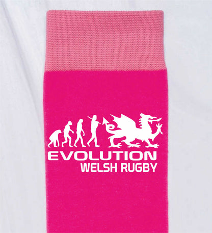 Evolution Of Welsh Rugby Ladies Novelty Socks Pink Wales Gift for Ladies