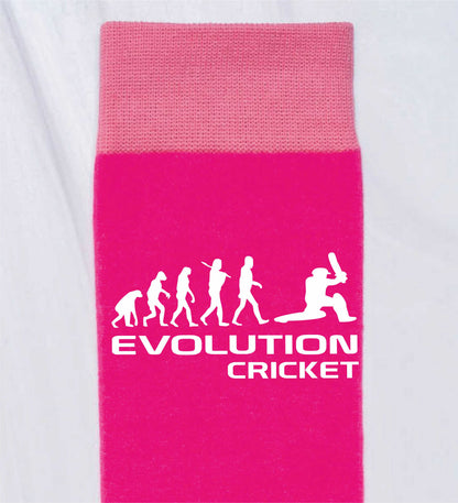 Evolution Of Cricket Ladies Novelty Socks Pink Funny Cricketers Gift for Ladies