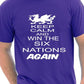 Rugby Wales Welsh Win 6 Nations Again World Cup T-Shirt