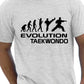 Evolution Of Taekwondo Martial Arts T-Shirt