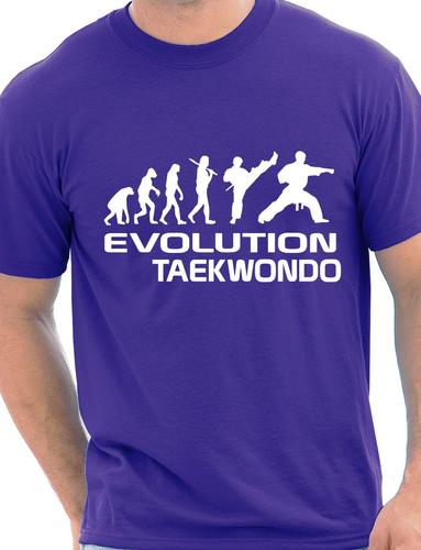 Evolution Of Taekwondo Martial Arts T-Shirt