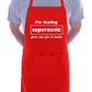 Supersonic Gin & Tonic Birthday Gift Funny Present BBQ Apron