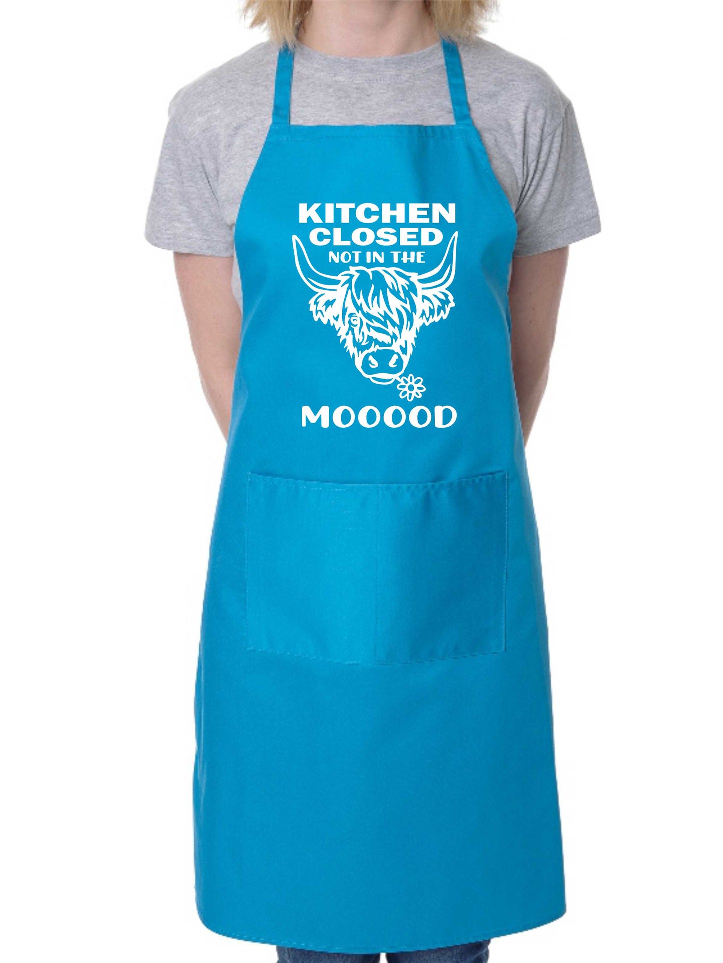 Kitchen Closed Not In The Mood Apron Funny Birthday Gift Cooking Baking BBQ