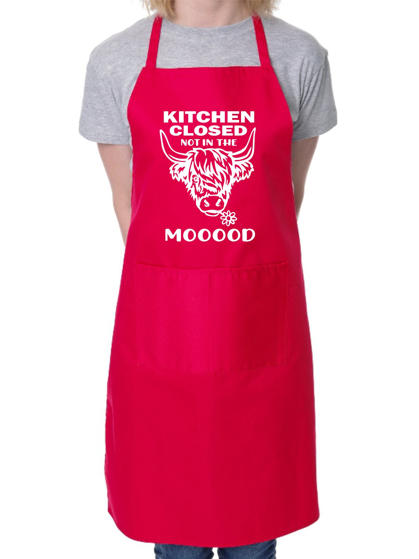 Kitchen Closed Not In The Mood Apron Funny Birthday Gift Cooking Baking BBQ