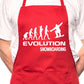 Adult Evolution Of Snowboarding BBQ Cooking Funny Novelty Apron
