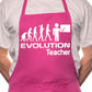 Evolution Of A Teacher Lecturer BBQ Cooking Apron