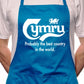 Adult Cymru Wales Best Country BBQ Cooking Funny Novelty Apron