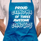 Proud Grandma Of 3 Grandkids BBQ Cooking Apron