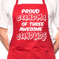 Proud Grandma Of 3 Grandkids BBQ Cooking Apron