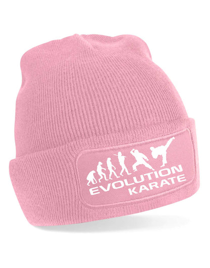 Evolution Of Karate Beanie Hat Martial Arts Birthday Gift For Men & Ladies
