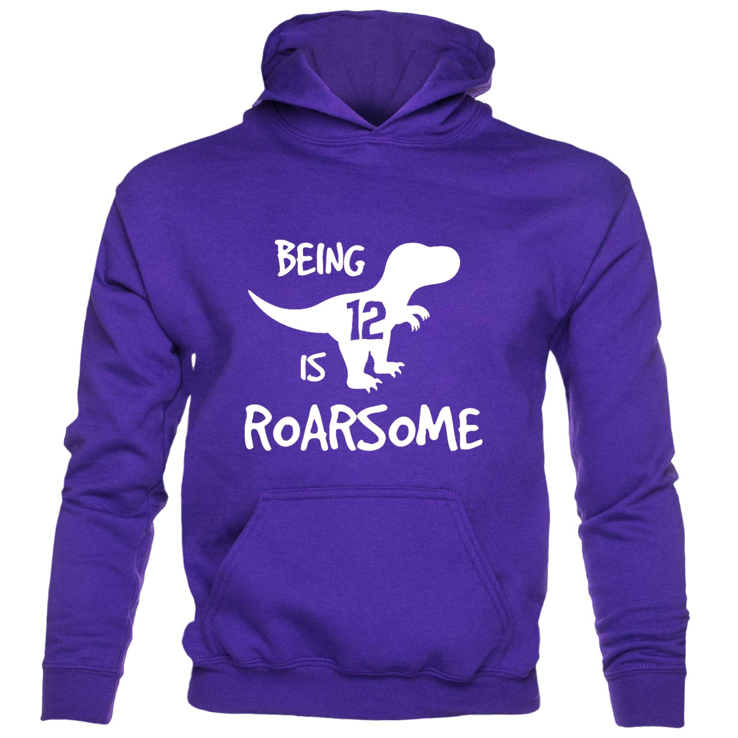 Dinosaur Roarsome Happy Birthday 12 Today 12th kids hoodie