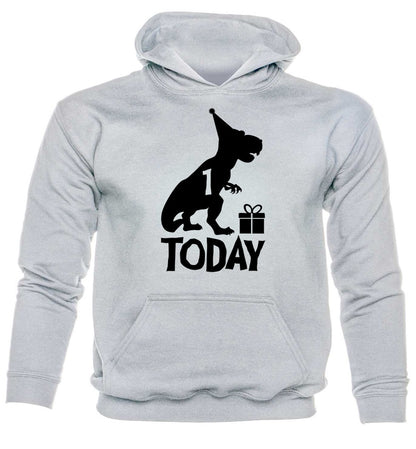 Dinosaur Happy Birthday 1 Today T-Rex Birthday Age 1 Kids Hoodie