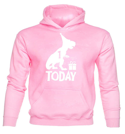 Dinosaur Happy Birthday 1 Today T-Rex Birthday Age 1 Kids Hoodie