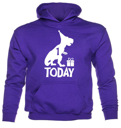 Dinosaur Happy Birthday 1 Today T-Rex Birthday Age 1 Kids Hoodie