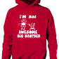 I'm An Awesome Big Brother Kids Hoodie