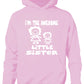I'm The Awesome Little Sister Of Big Sister Kids Hoodie