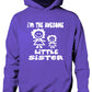 I'm The Awesome Little Sister Of Big Sister Kids Hoodie