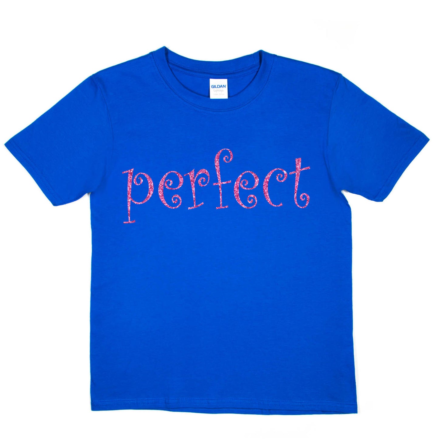 Perfect Fun Present For Birthday Girls T-shirt