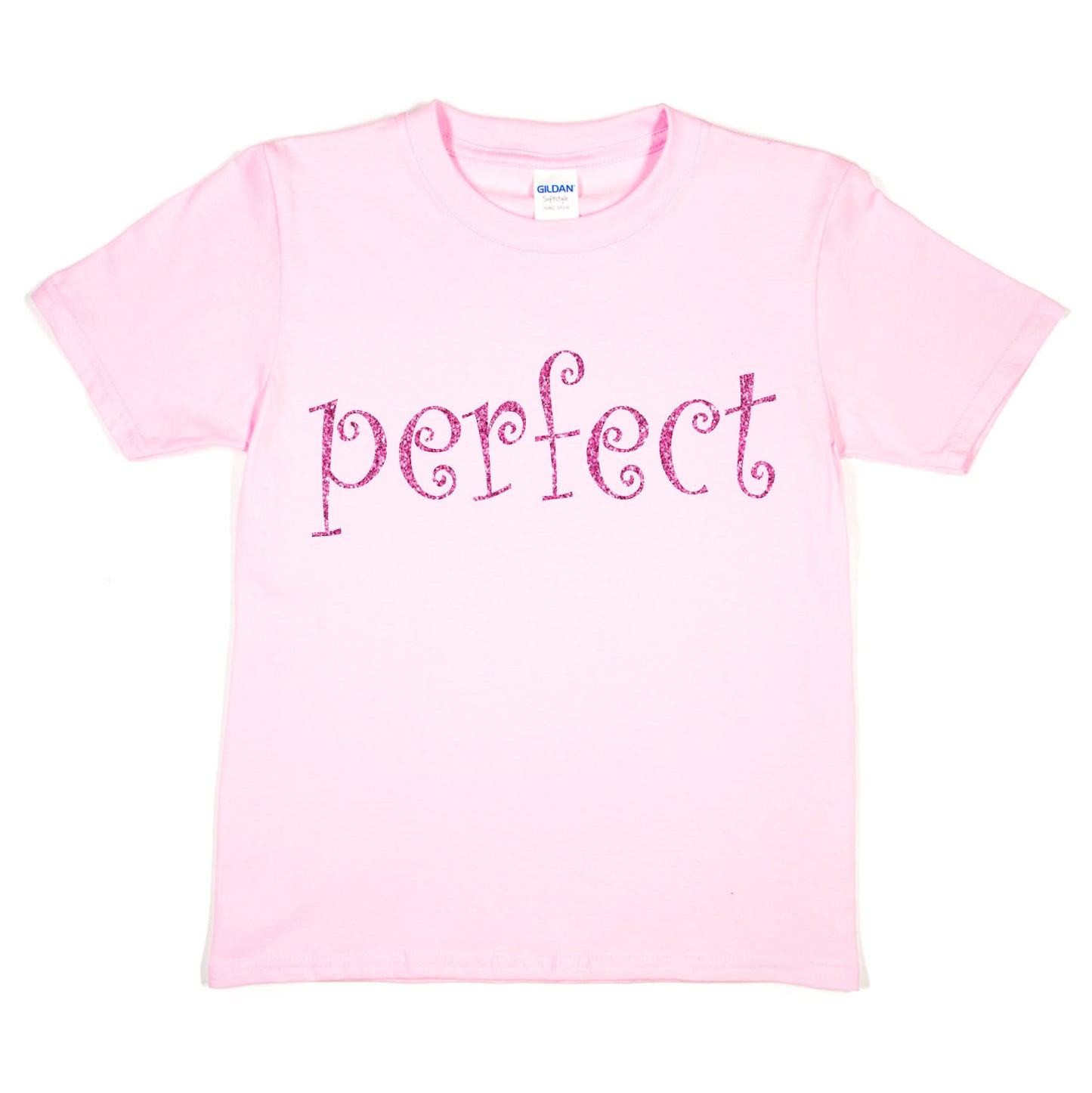 Perfect Fun Present For Birthday Girls T-shirt