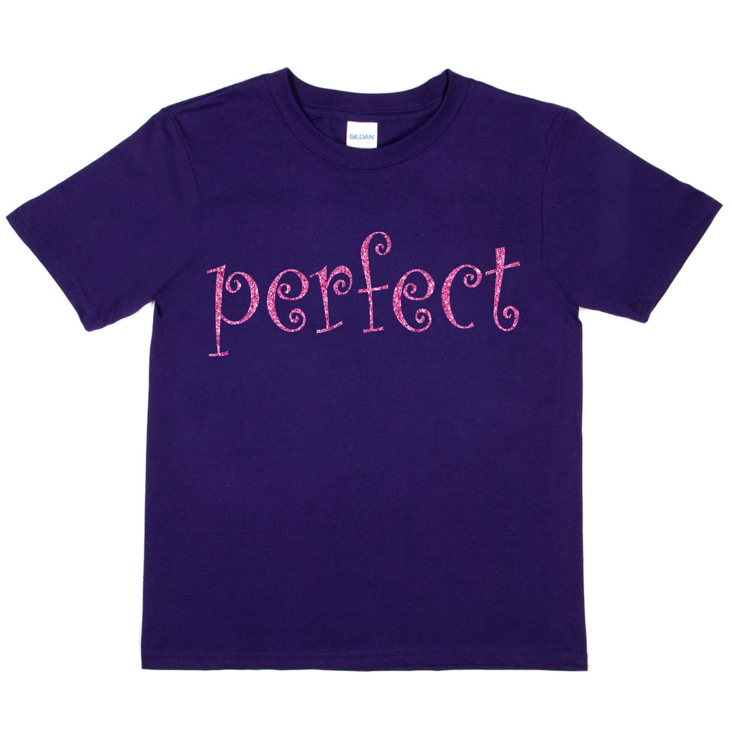 Perfect Fun Present For Birthday Girls T-shirt