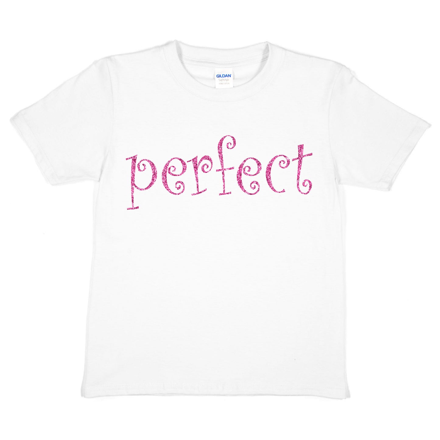 Perfect Fun Present For Birthday Girls T-shirt