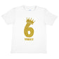 Kids Six Today Birthday T-shirt In Gold Glitter Happy 6th