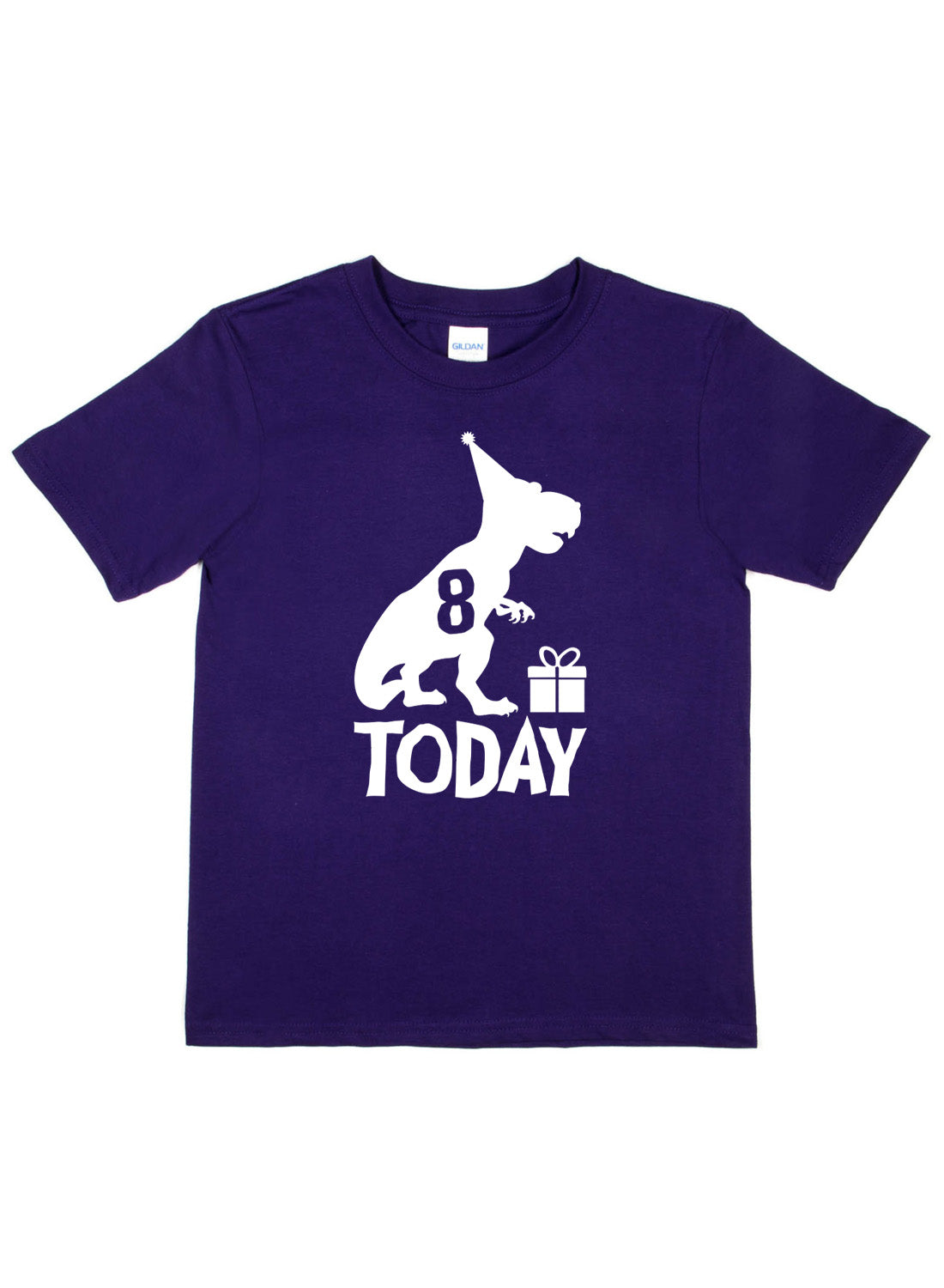 Birthday Kids 8 Today Age 8 Dinosaur Happy T-Shirt