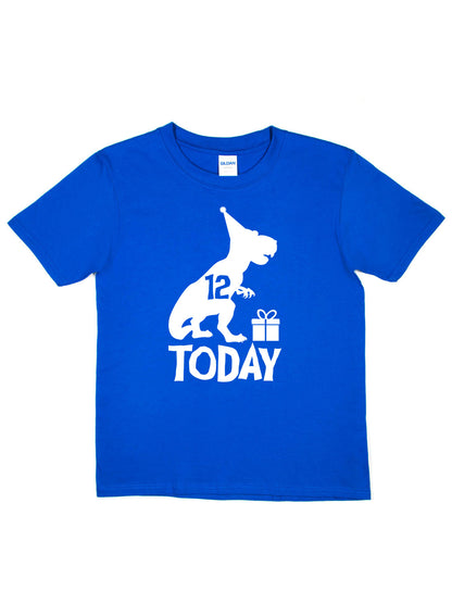 Birthday Kids 12 Today Age 12 Dinosaur Happy T-Shirt