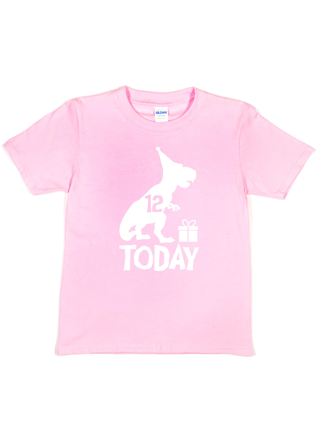 Birthday Kids 12 Today Age 12 Dinosaur Happy T-Shirt
