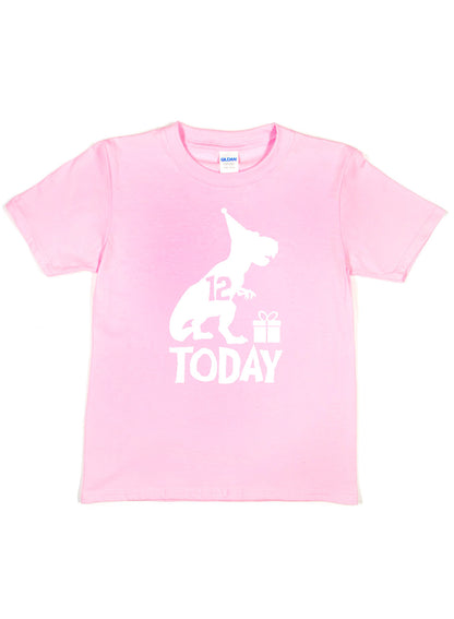 Birthday Kids 12 Today Age 12 Dinosaur Happy T-Shirt