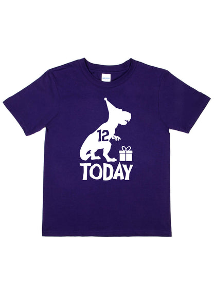 Birthday Kids 12 Today Age 12 Dinosaur Happy T-Shirt