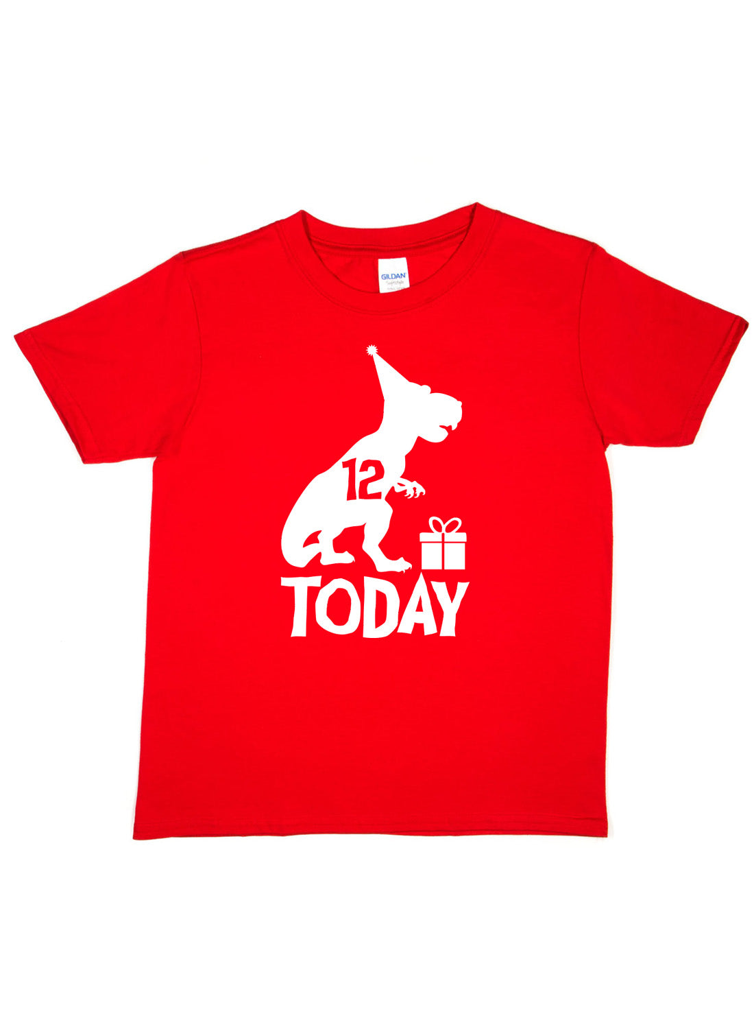 Birthday Kids 12 Today Age 12 Dinosaur Happy T-Shirt