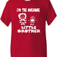 I'm The Awesome Little Brother Of Big Sister Kids T-Shirt