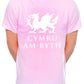 Cymru Am Byth Wales Welsh Dragon Mens T-Shirt
