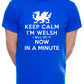 Keep Calm I'm Welsh Wales Cymru Mens T-Shirt