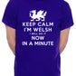 Keep Calm I'm Welsh Wales Cymru Mens T-Shirt