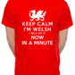Keep Calm I'm Welsh Wales Cymru Mens T-Shirt