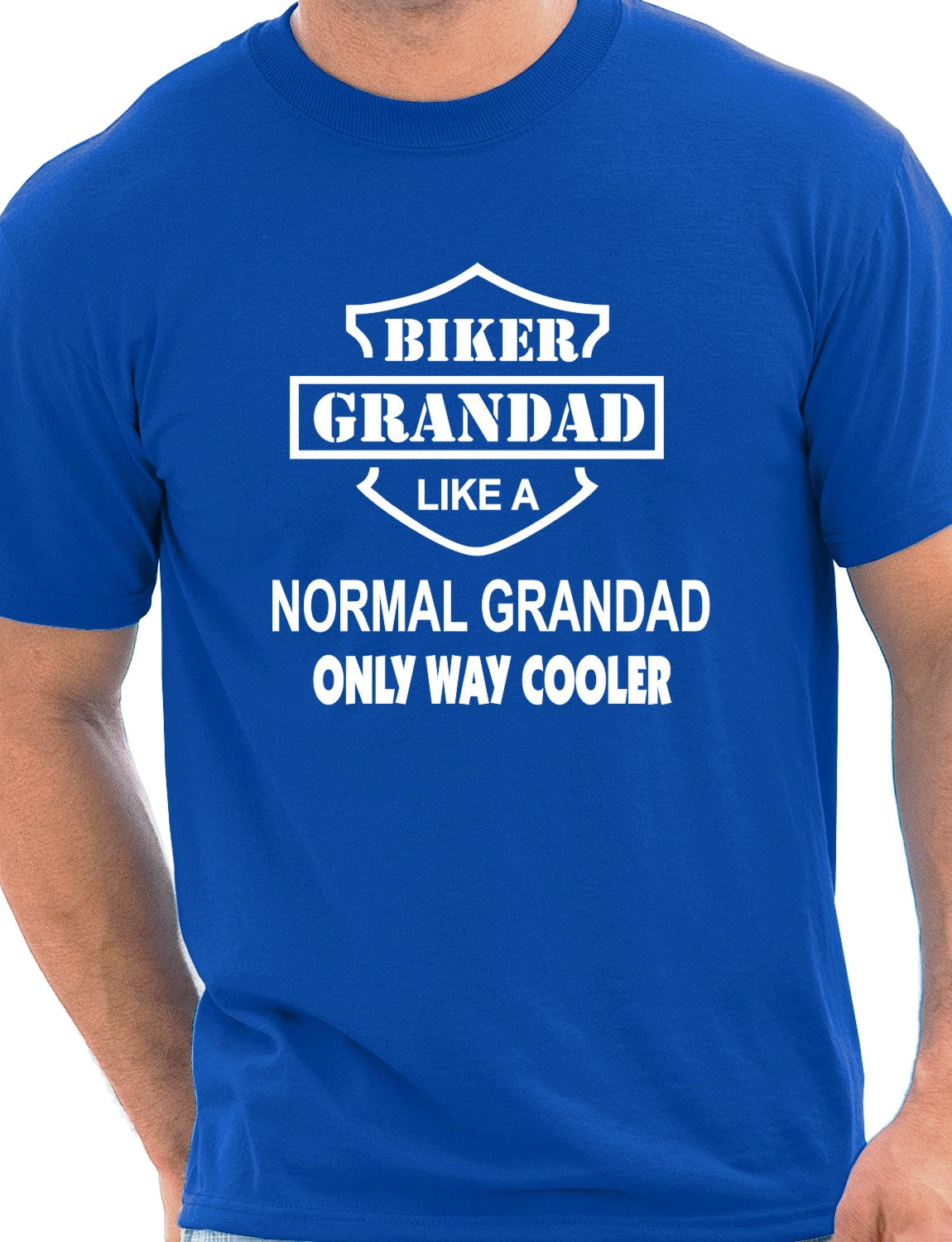 Biker Grandad Like A Normal Grandad T-Shirt