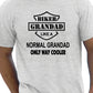 Biker Grandad Like A Normal Grandad T-Shirt