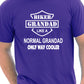 Biker Grandad Like A Normal Grandad T-Shirt