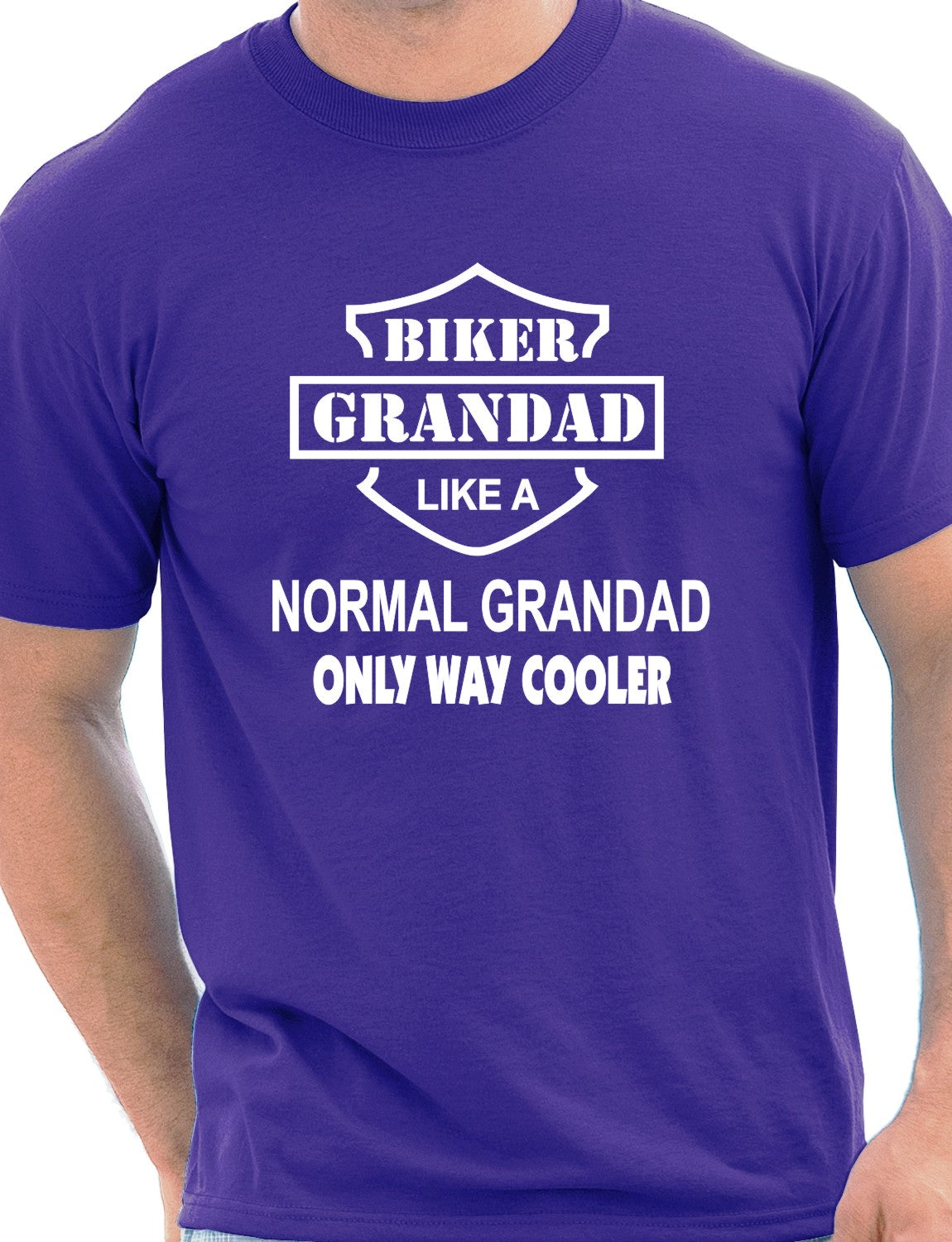 Biker Grandad Like A Normal Grandad T-Shirt