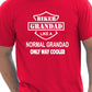 Biker Grandad Like A Normal Grandad T-Shirt