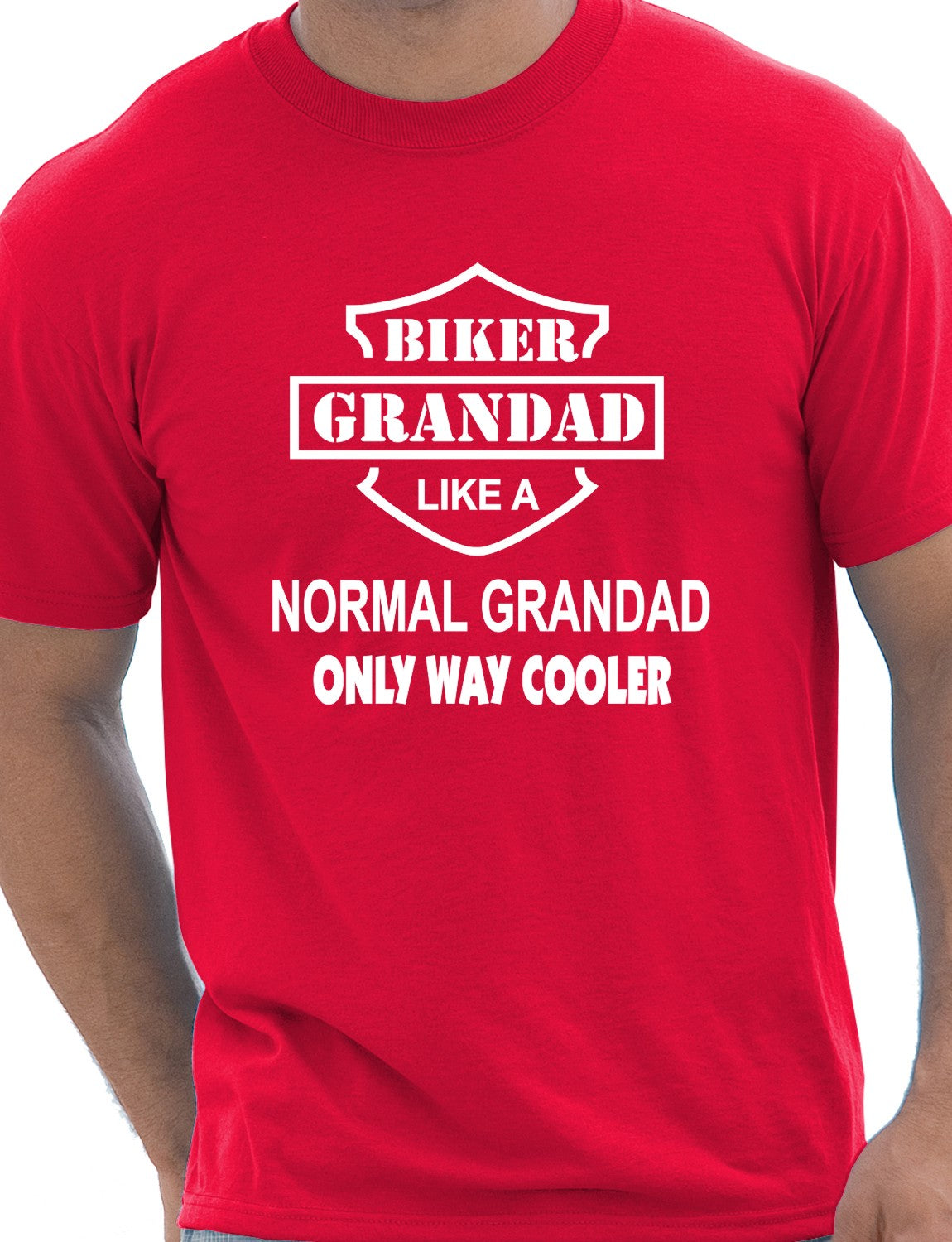 Biker Grandad Like A Normal Grandad T-Shirt
