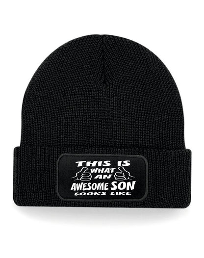 This Is What Awesome Son Looks Like Beanie Birthday Gift Great For Men