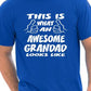 This Is What An Awesome Grandad Grandpa T-Shirt
