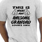 This Is What An Awesome Grandad Grandpa T-Shirt