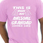This Is What An Awesome Grandad Grandpa T-Shirt