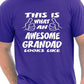 This Is What An Awesome Grandad Grandpa T-Shirt