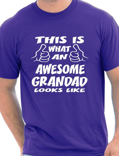 This Is What An Awesome Grandad Grandpa T-Shirt